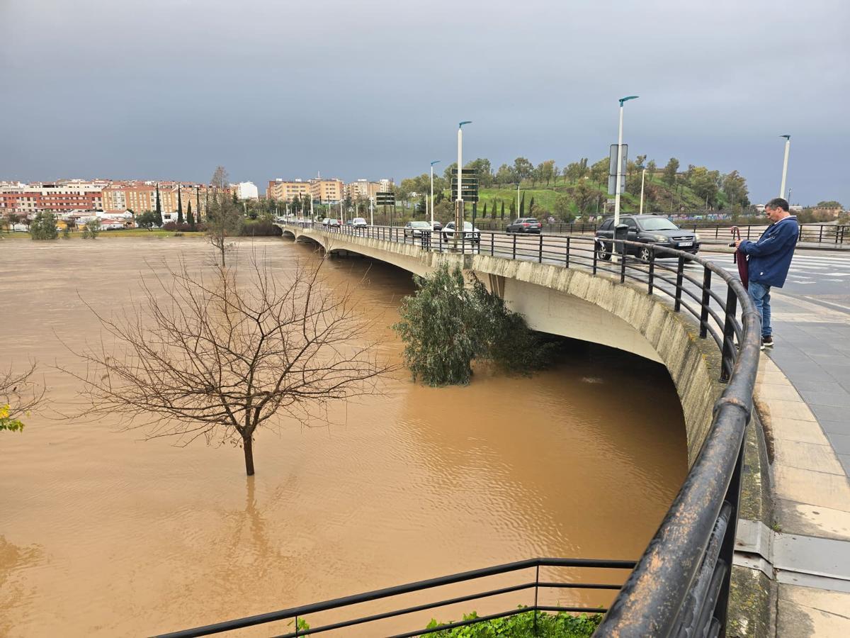 Un hombre fotografía la crecida del río desde el puente de la Autonomía.