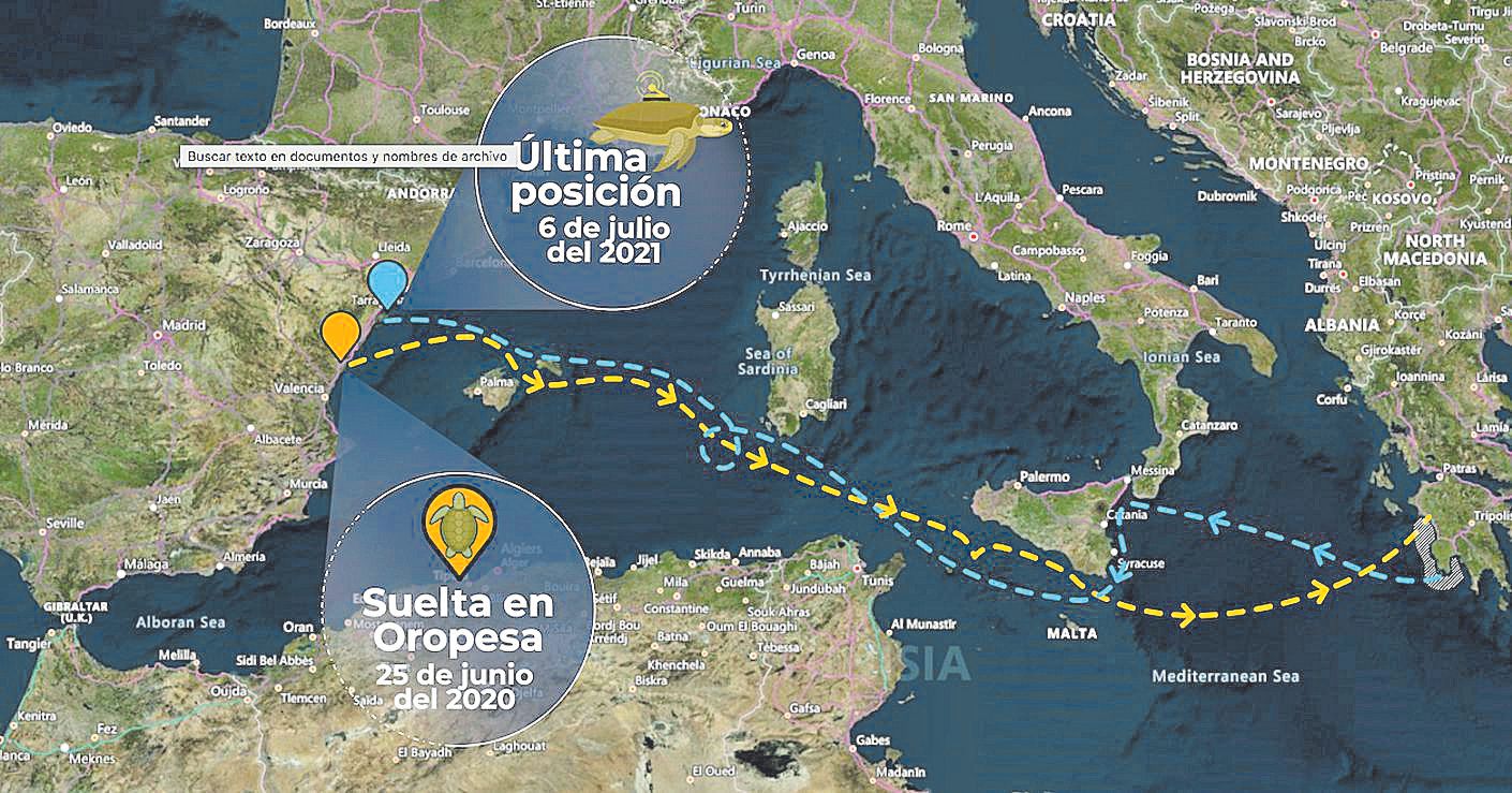 Recorrido de la tortuga Colomera