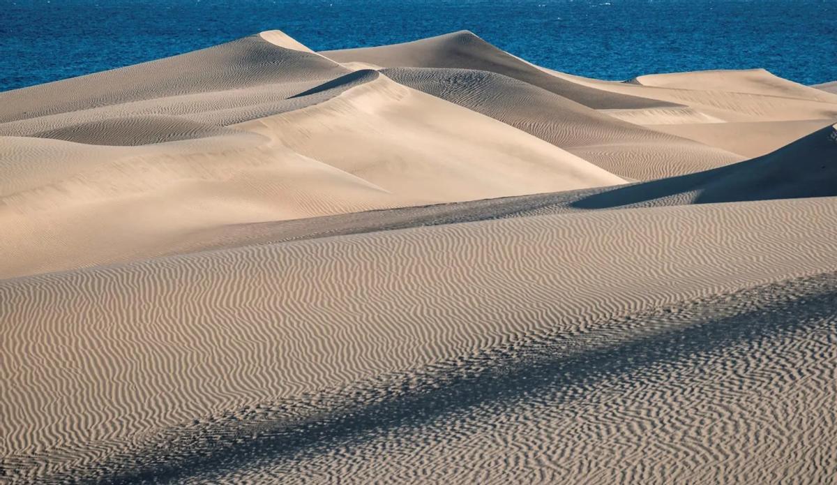 Obra del movimiento de arena de las Dunas de Maspalomas