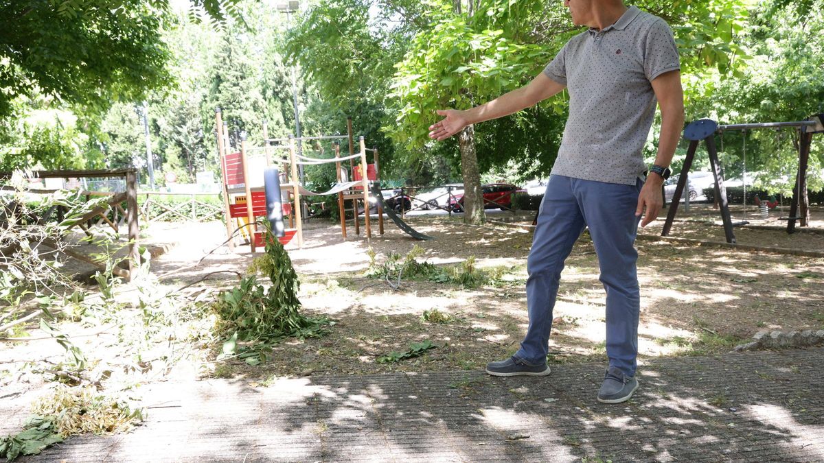 Estado actual de los espacios verdes en el barrio cacereño de La Madrila