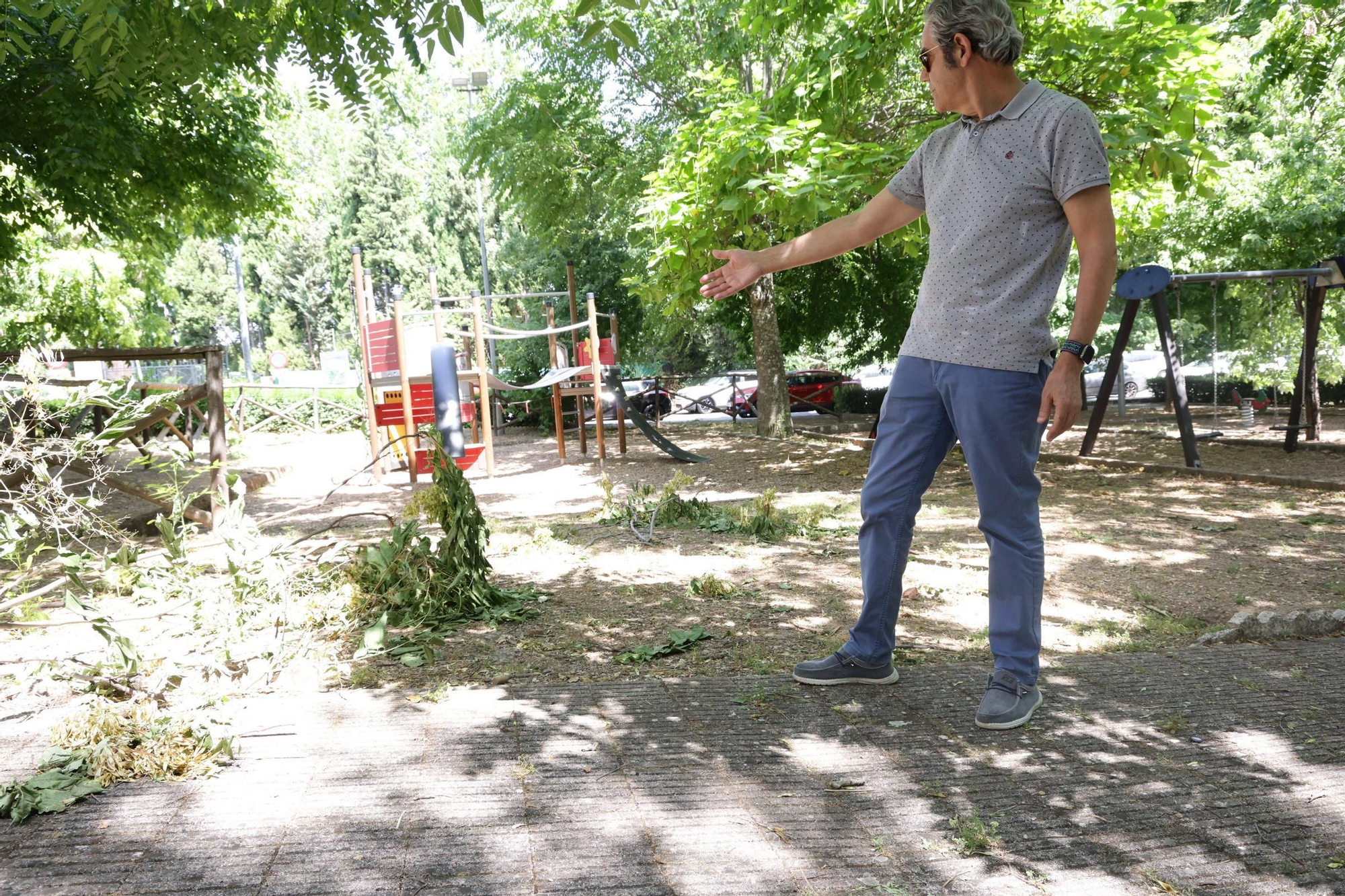 Estado actual de los espacios verdes en el barrio cacereño de La Madrila