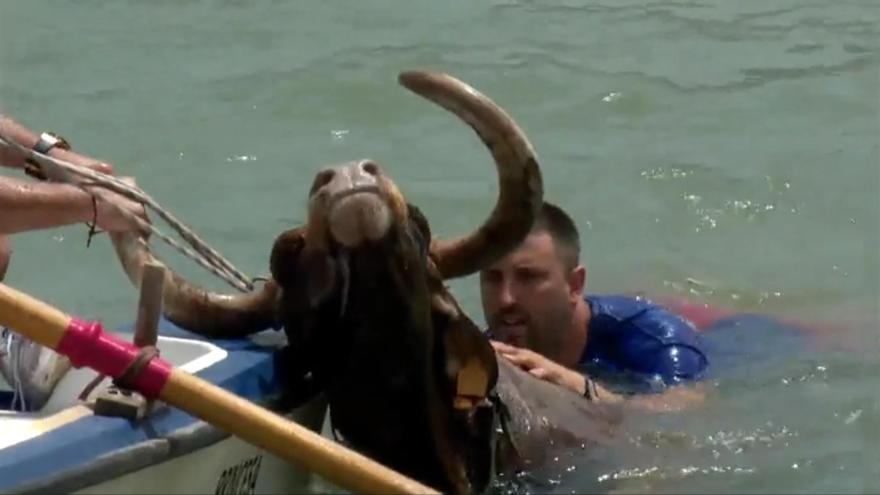 Un toro muere ahogado en los bous a la mar de Denia