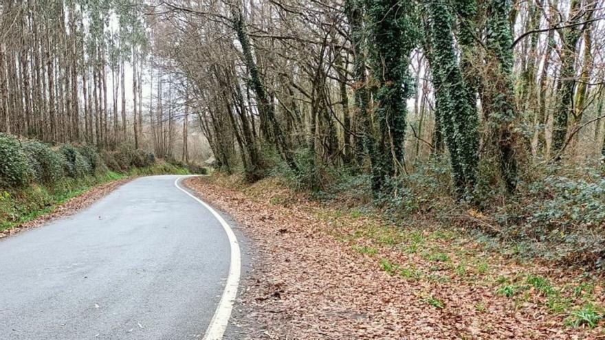 Vecinos piden limpiar las márgenes de la “ruta del colesterol”