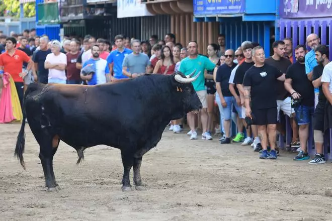 Fotogalería I Las imágenes de la última tarde de 'bous al carrer' de las fiestas de Vila-real