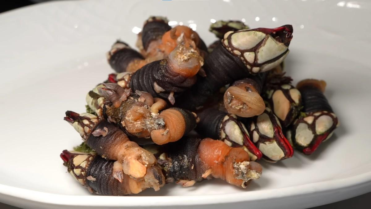 Percebes en el restaurante Cancelo