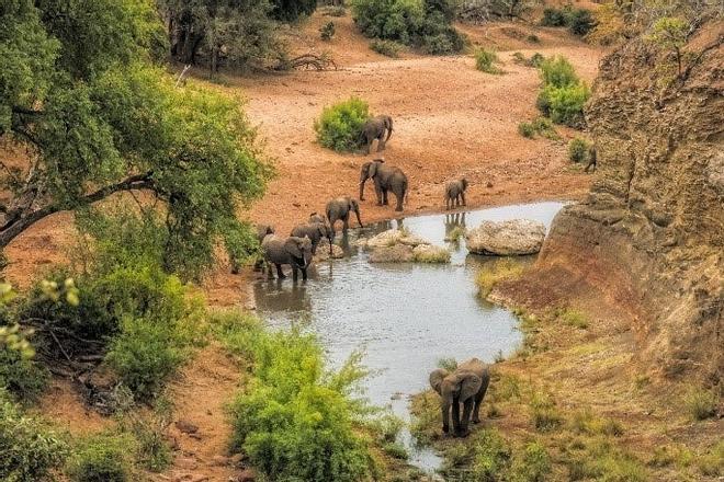 Parque Nacional Kruger en Sudáfrica