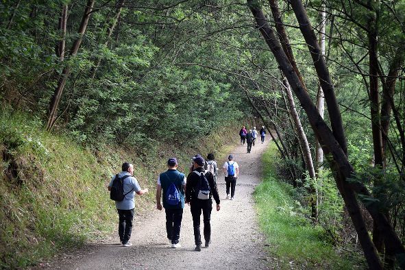 Un tramo del Camiño Portugués entre Tui y Valga.