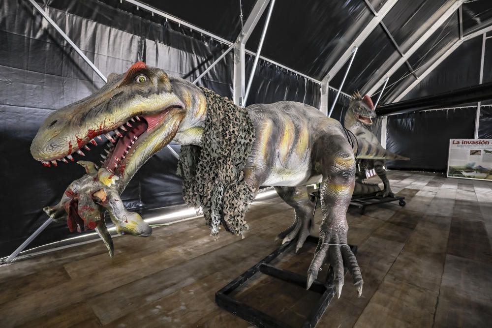 Dinosaurs Tour: Son Fusteret se transforma en un parque jurásico