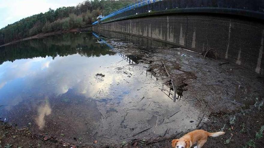 El embalse de Zamáns, ya recuperado. // Marta G. Brea