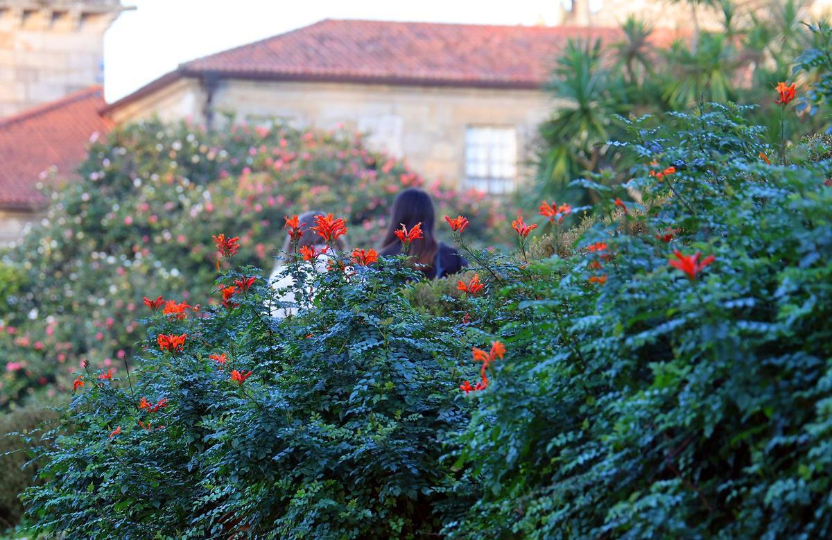 El mayor espectáculo del invierno florece en Castrelos
