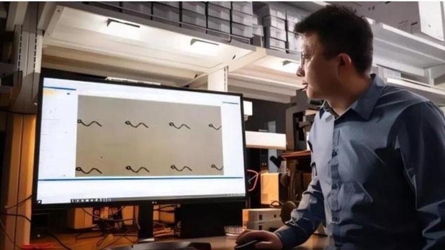 Una nova esperança contra el càncer: creen microrobots capaços d’atacar tumors sense cirurgia