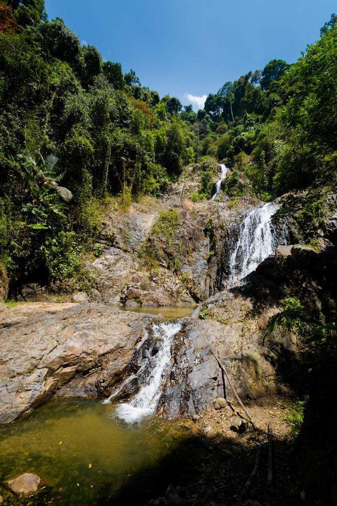 Khao Phanom Bencha