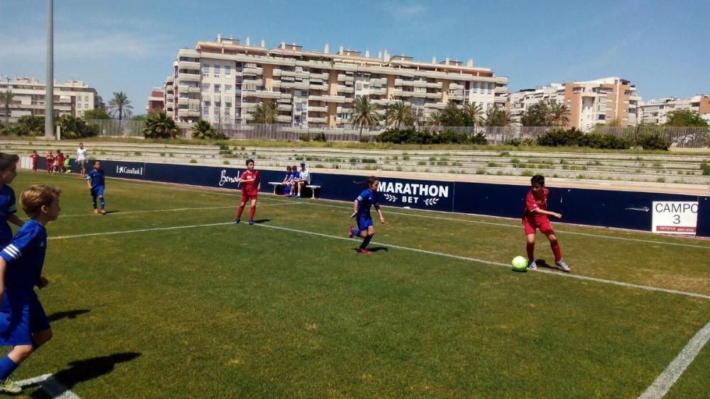 La V Fiesta del Deporte, en imágenes