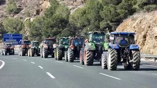 Delegación y agricultores acuerdan poner fin a las protestas a las 3 de la tarde