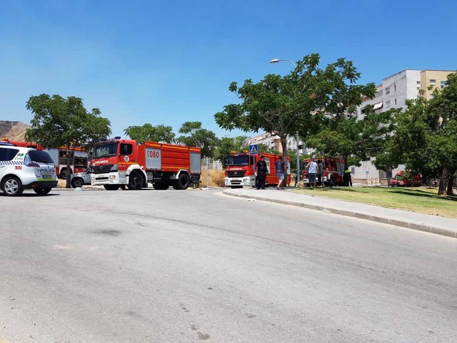 Declarado un incendio forestal en Monte Coronado