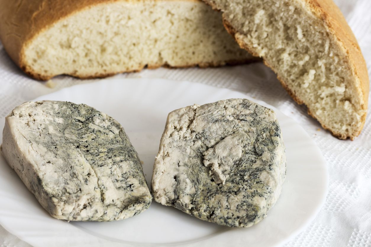 Queso cabrales, típico queso Asturiano