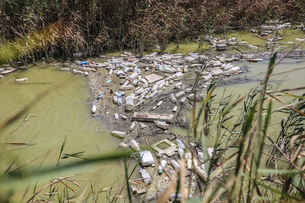 Aspecto que presenta ahora la desembocadura del Segura con miles de plásticos flotantes