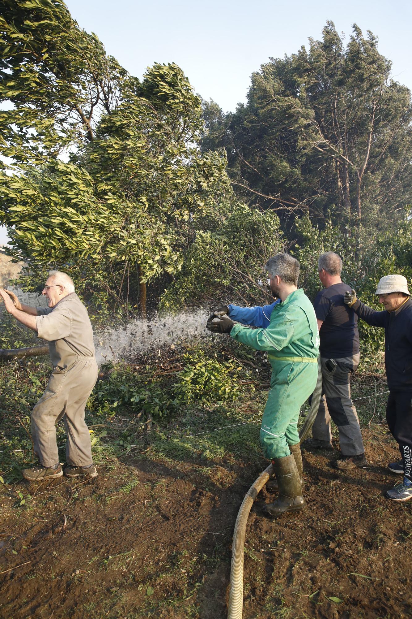 Las imágenes del preocupante incendio en Tineo