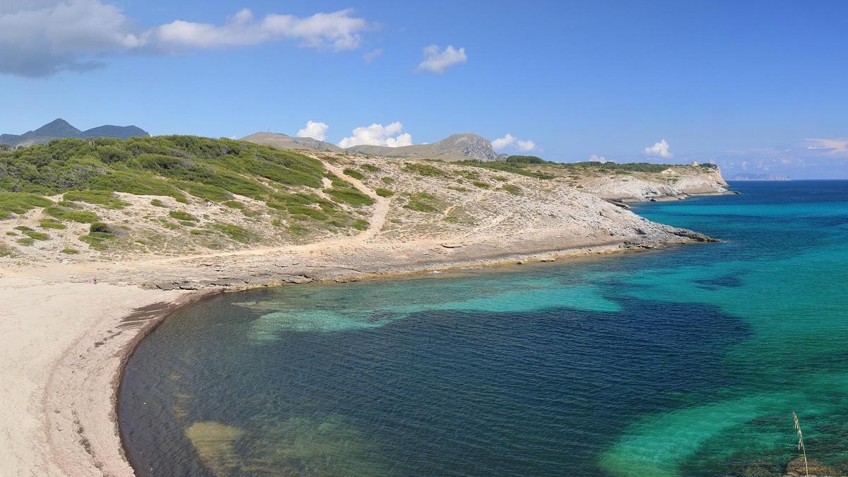Una imagen de la playa de Cala Torta, en el litoral de Artà.