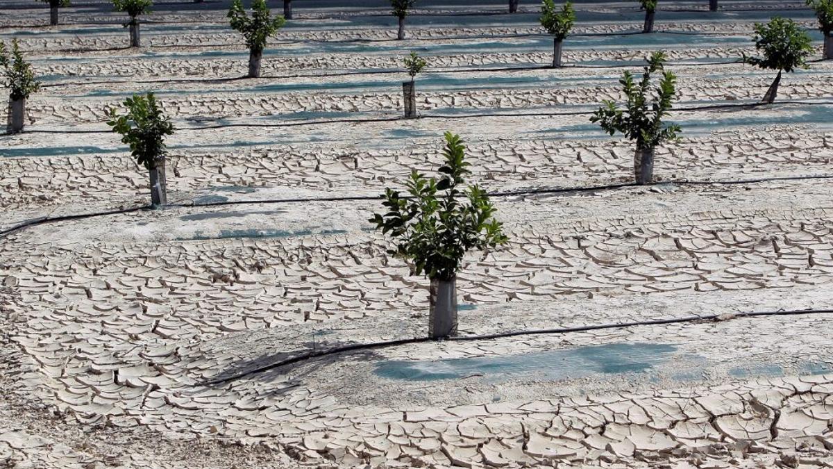 Sequía en Orihuela (Alicante)