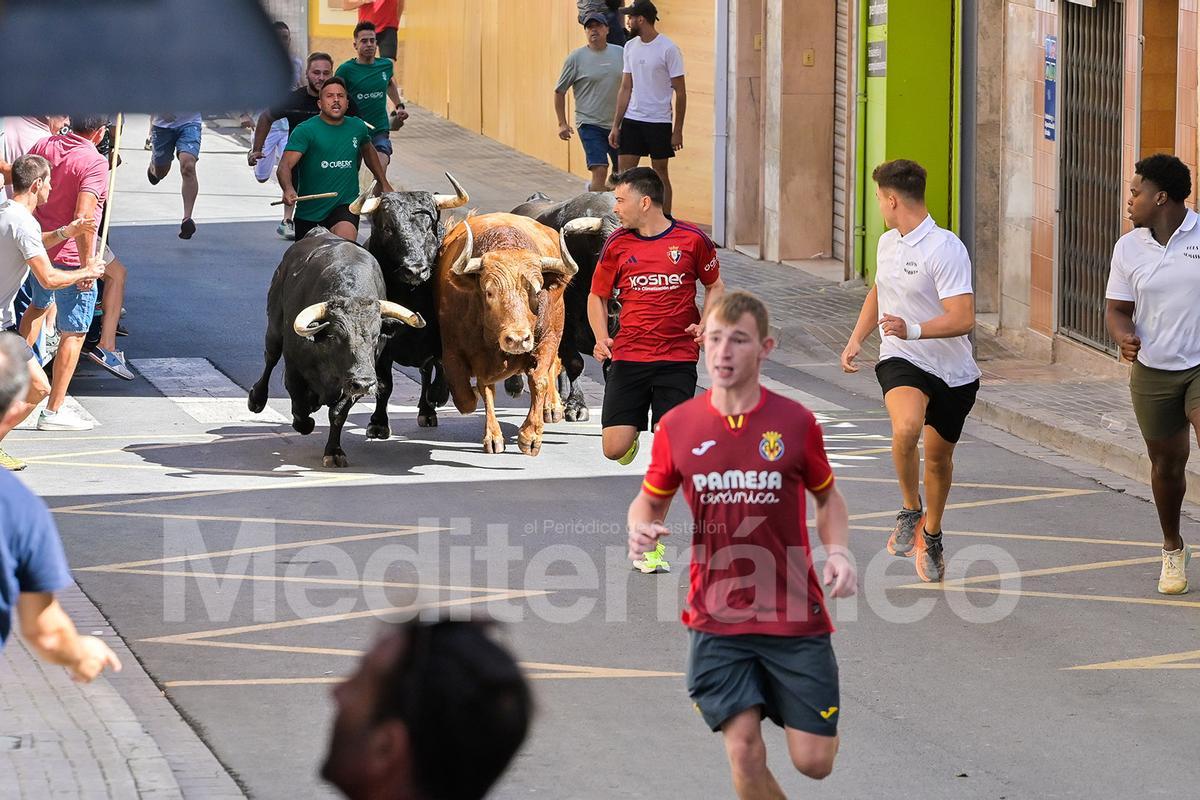 Bous a l'Alcora 2025