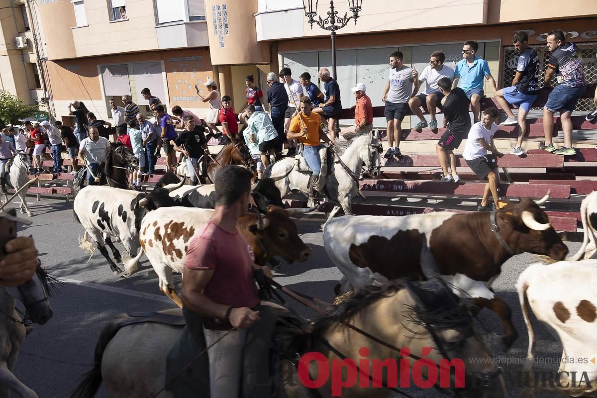 Séptimo encierro de las Fiestas de Moratalla