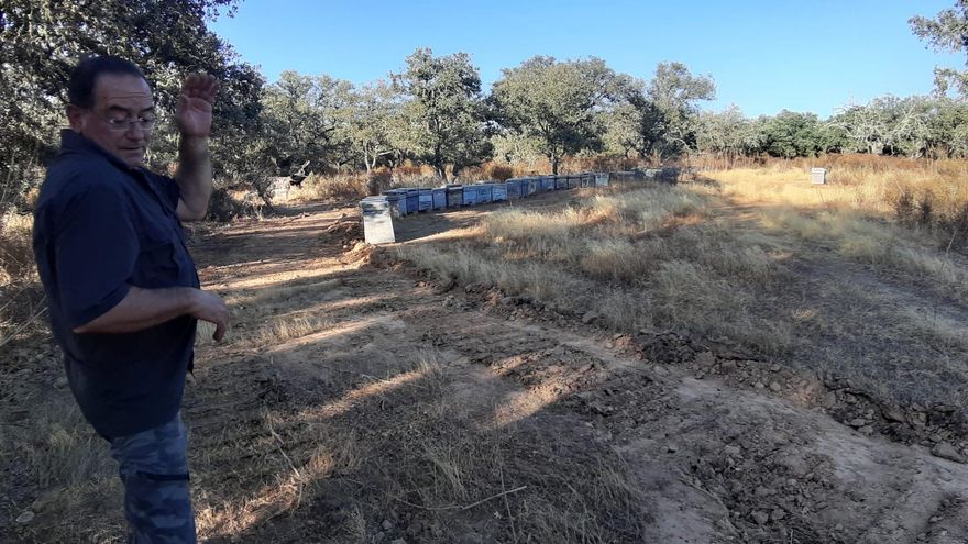 El incendio de Valdecaballeros ha calcinado más de 800 colmenas