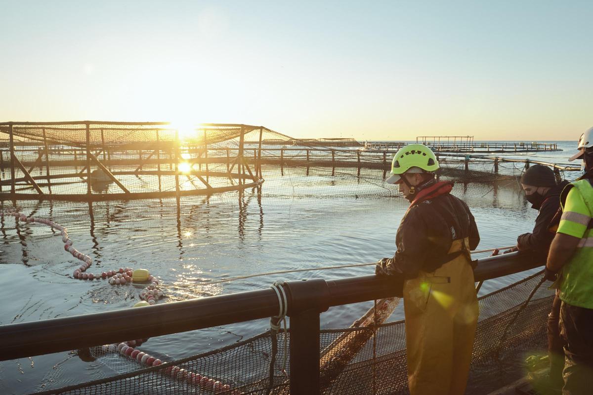 Viveros de Villajoyosa