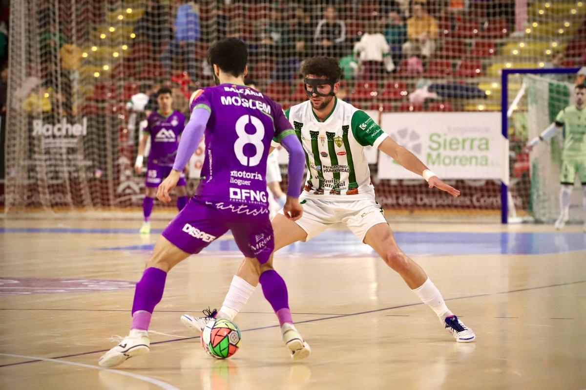 Córdoba Futsal Patrimonio-Mallorca Palma: el partido en imágenes Córdoba Futsal Patrimonio-Mallorca Palma: el partido en imágenes