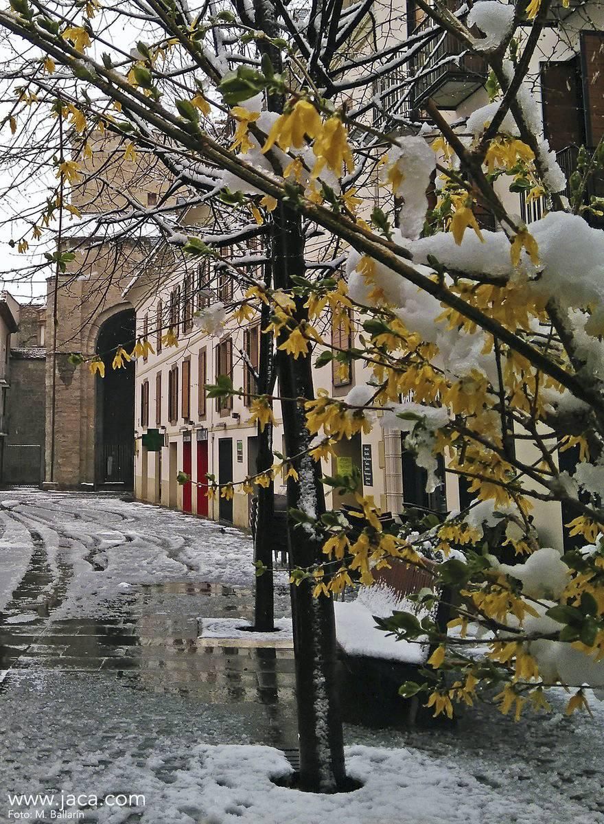 La nieve en primavera