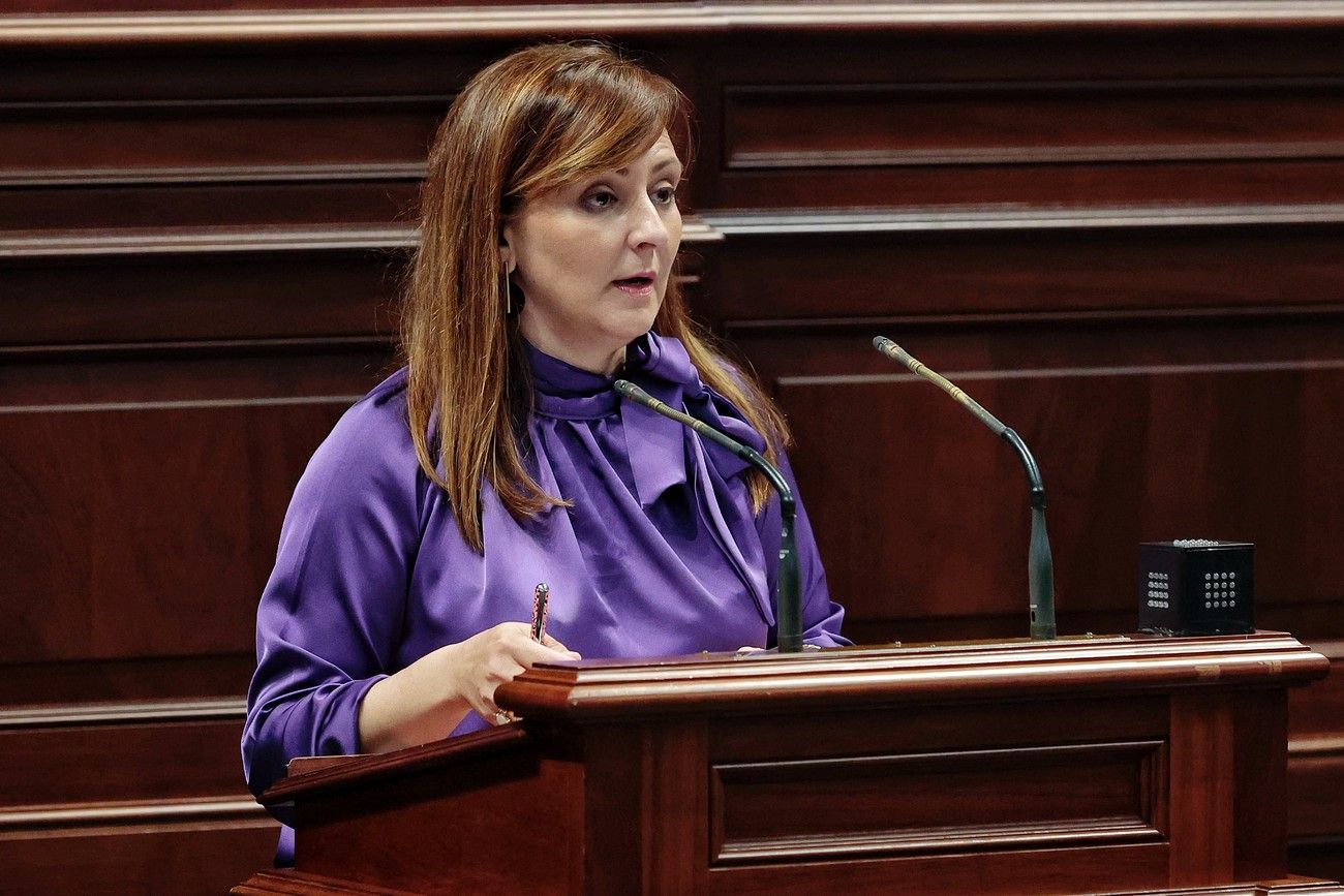 Pleno Extraordinario del Parlamento de Canarias (17 de enero de 2024)