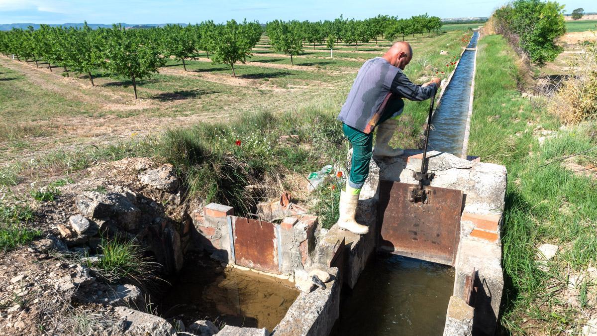 La campaña de riego del Canal dUrgell se cierra por la falta de agua