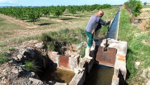 Deixar caure i podrir les pomes al canal d’Urgell: l’única sortida per salvar els arbres