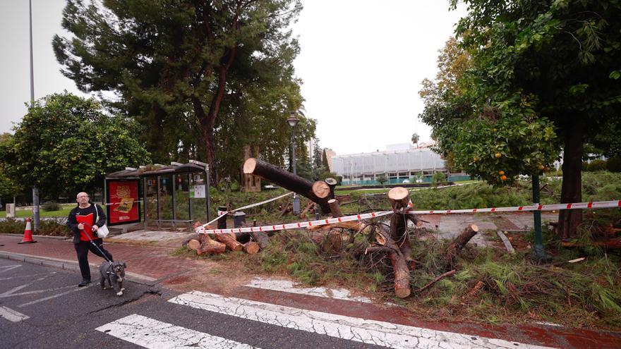 Hasta 175 intervenciones en un día: la intensa jornada de los Bomberos de Córdoba por la borrasca Claudia