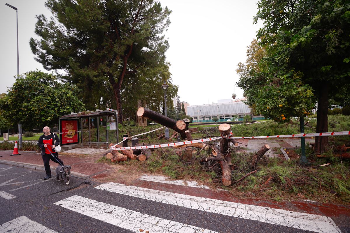 La borrasca Claudia deja un rastro de incidencias