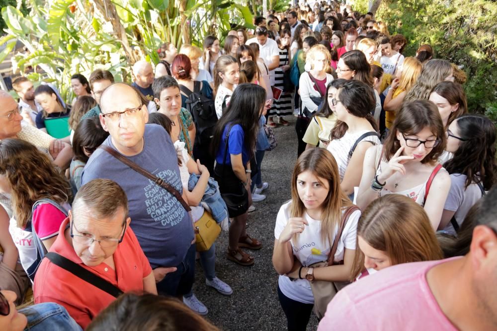 Oposiciones a Educación Primaria en la Región