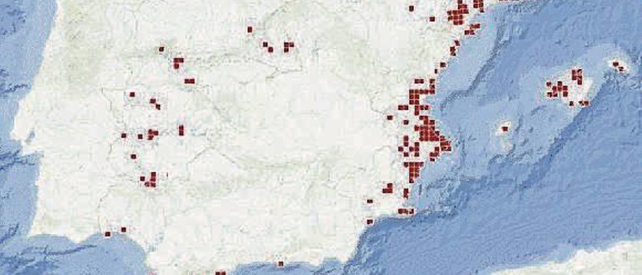 El plumero que más se ve en Galicia