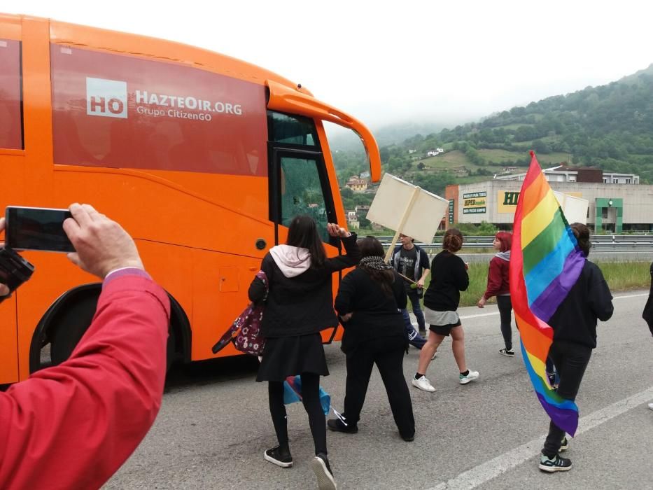 Atacan al autobús de HazteOir en Pola de Lena y lo persiguen hasta Oviedo