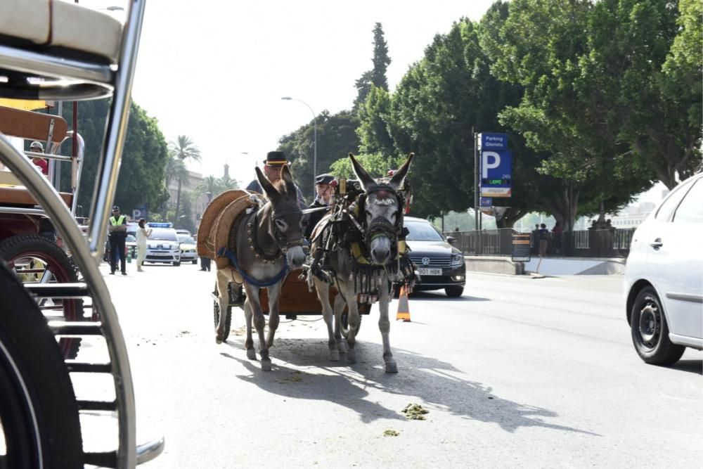 Ruta en carro al corazón de la Huerta