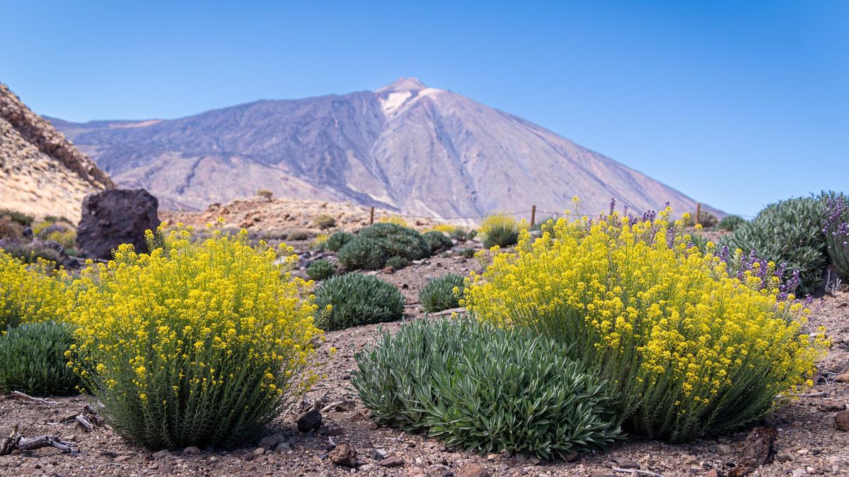 El Teide, en una imagen tomada en primavera.