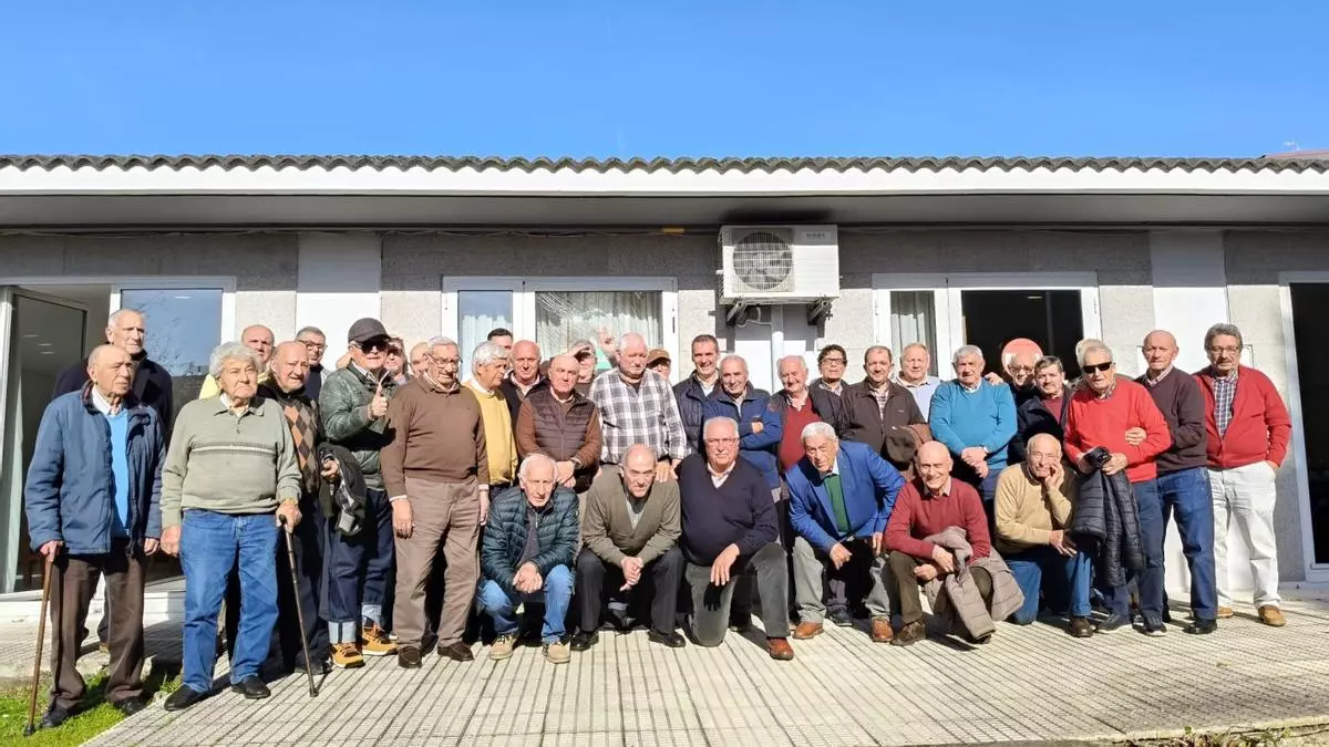 El « Senado» de Tui sobrevive a su árbol