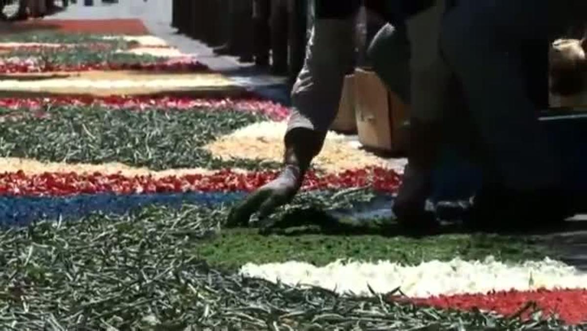 Quatre carrers del centre de Santa Coloma, decorats per les catifes florals a la Diada de Corpus.