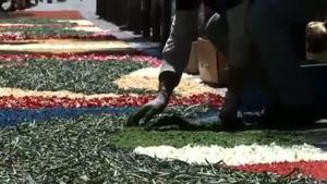 Quatre carrers del centre de Santa Coloma, decorats per les catifes florals a la Diada de Corpus.