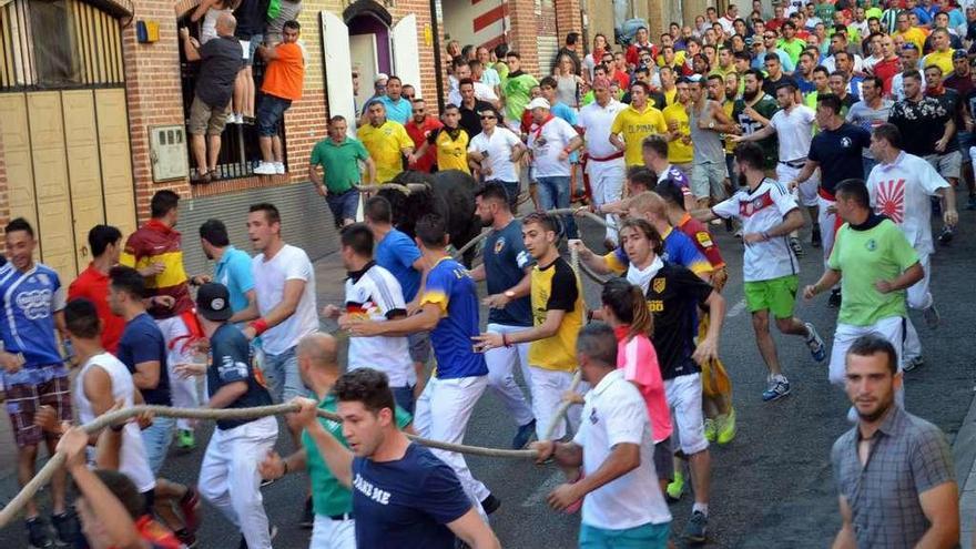 Los corredores junto al toro por la calle Los Carros.