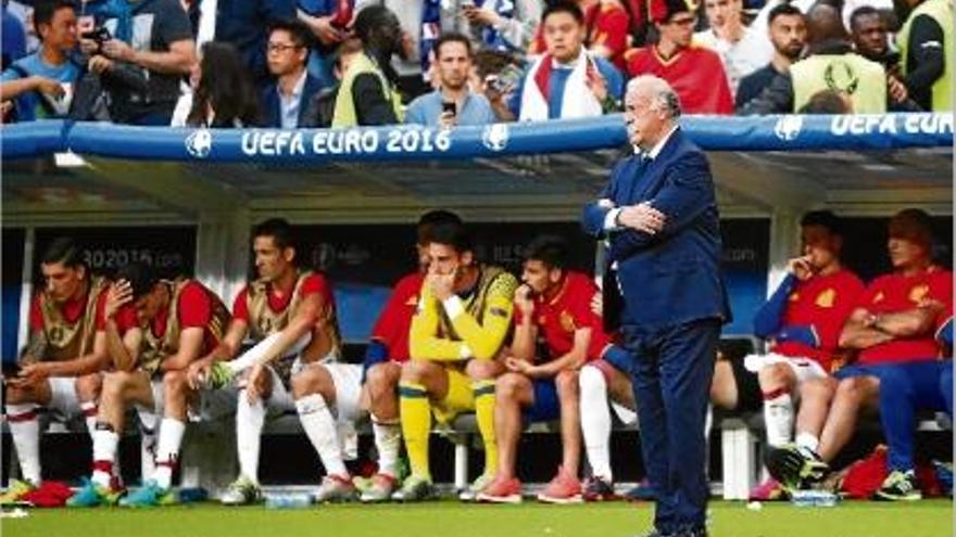 Vicente Del Bosque podria tenir assumit que no continuarà al capdavant de la banqueta d&#039;Espanya.