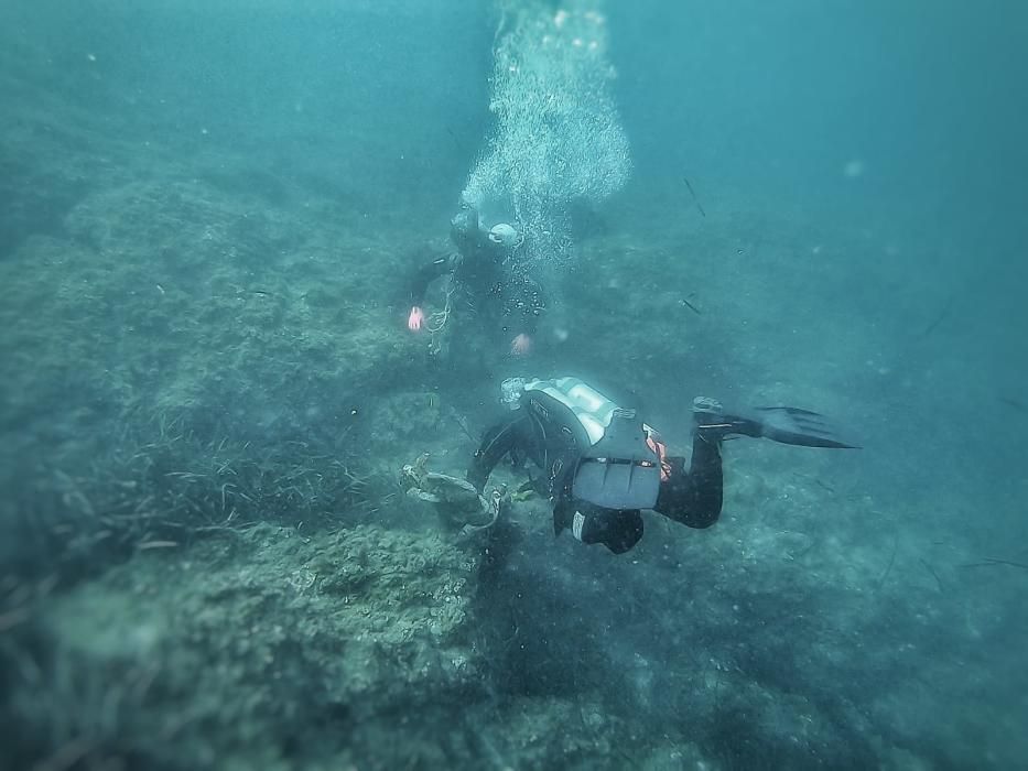 ONG Ghost Diving: recollir residus del fons marí sense contaminar