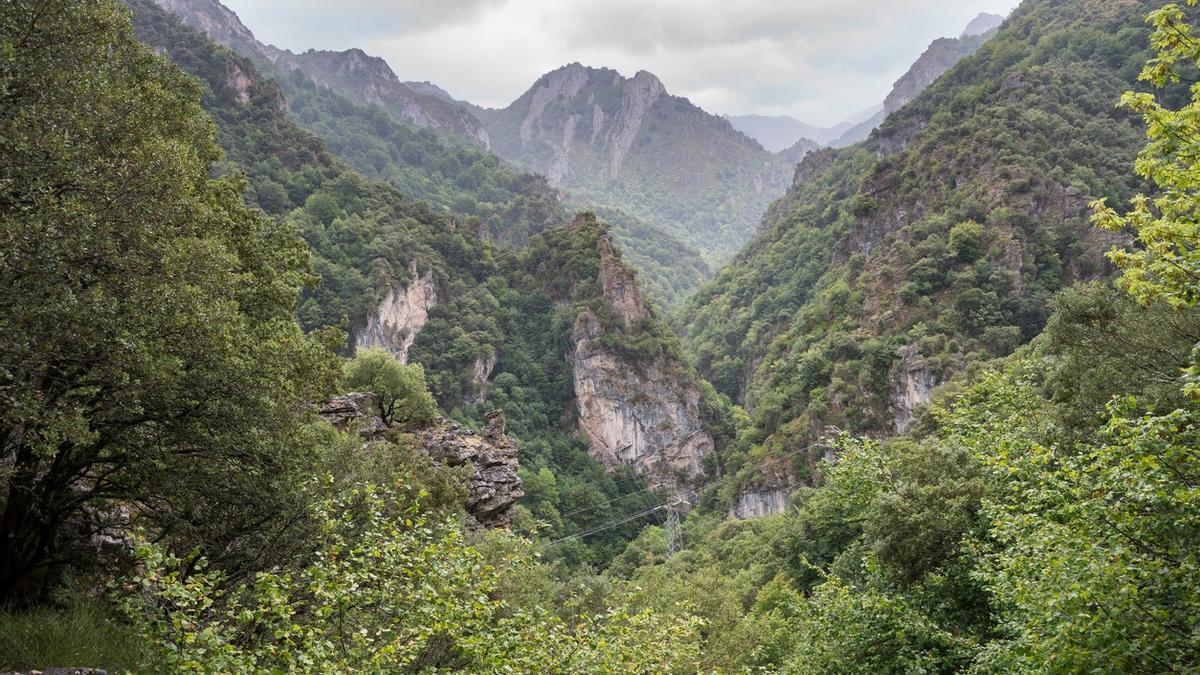 Fuentes del Narcea, Asturias