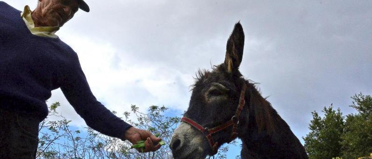 Pancho, con su todavía cuidador, esta semana en Berducedo. | FDV