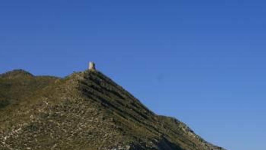 El Campello aprueba la apertura de una segunda playa para perros