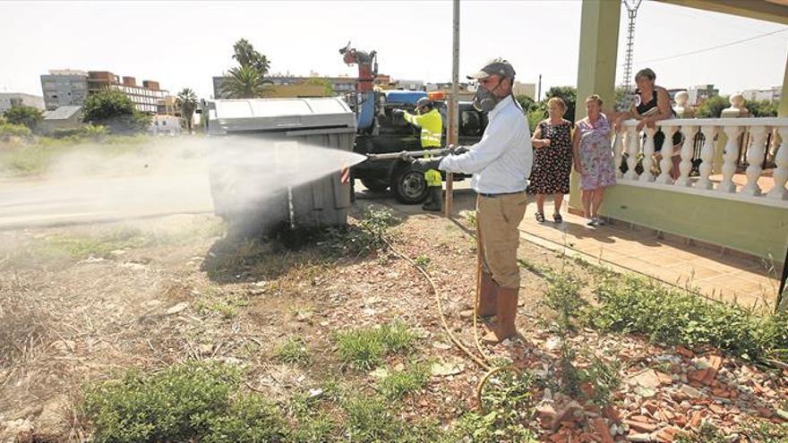 Diputación peinará Castellón para evitar mosquitos antes de Pascua